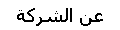 عن الشركة